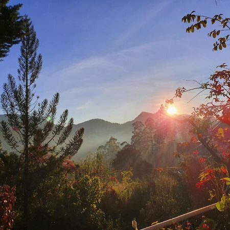 Princess Of Dickoya Homestay Hatton Esterno foto