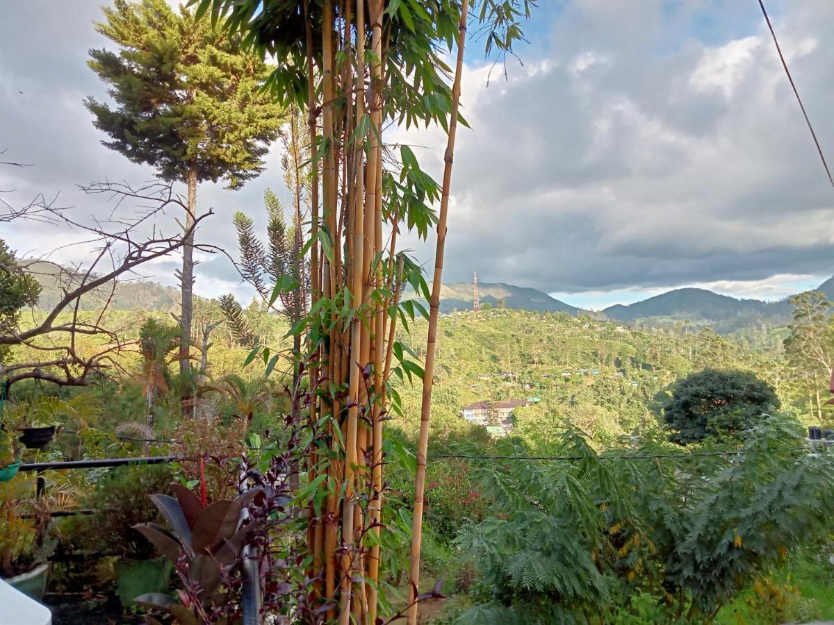 Princess Of Dickoya Homestay Hatton Esterno foto