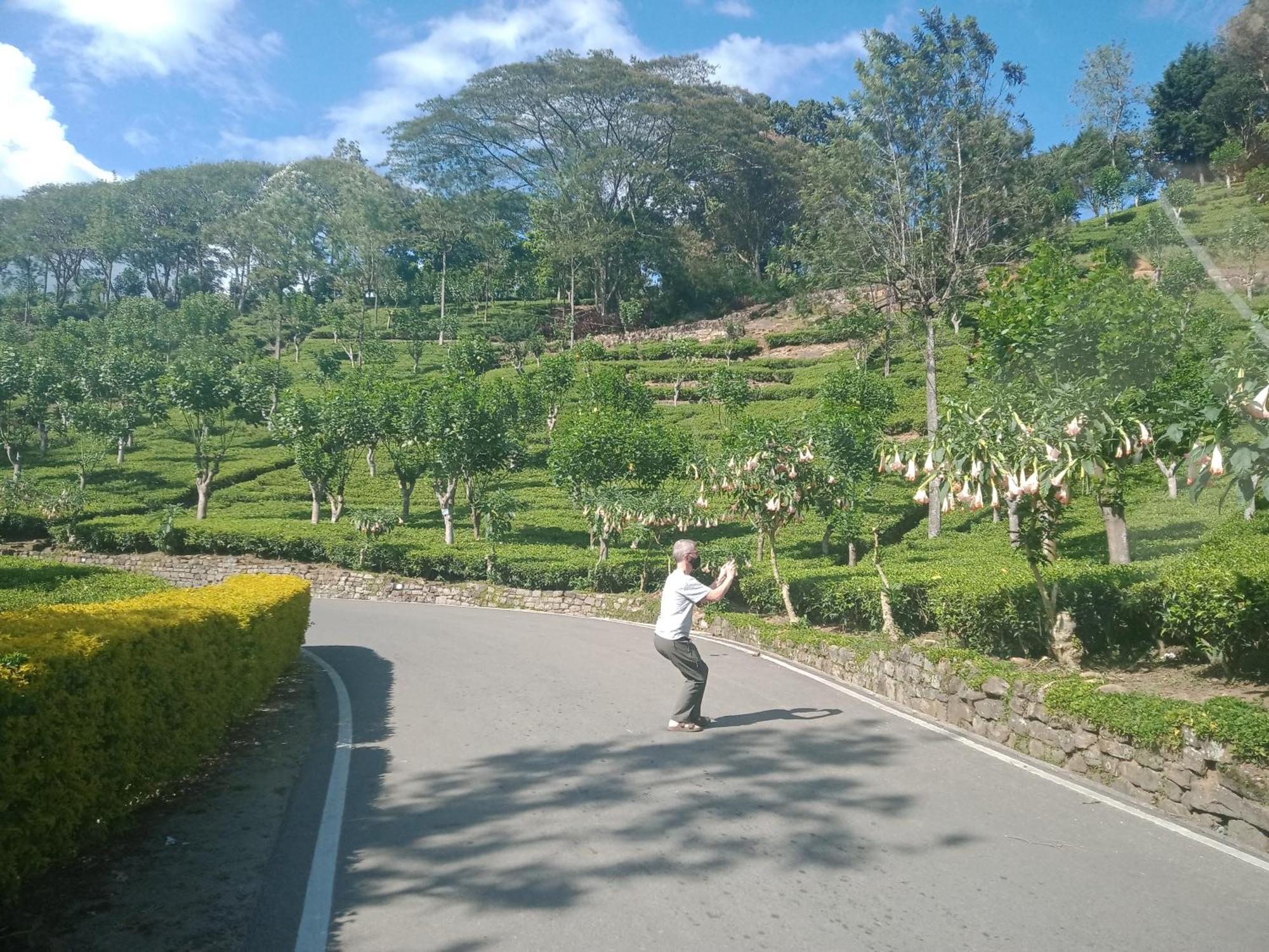 Princess Of Dickoya Homestay Hatton Camera foto